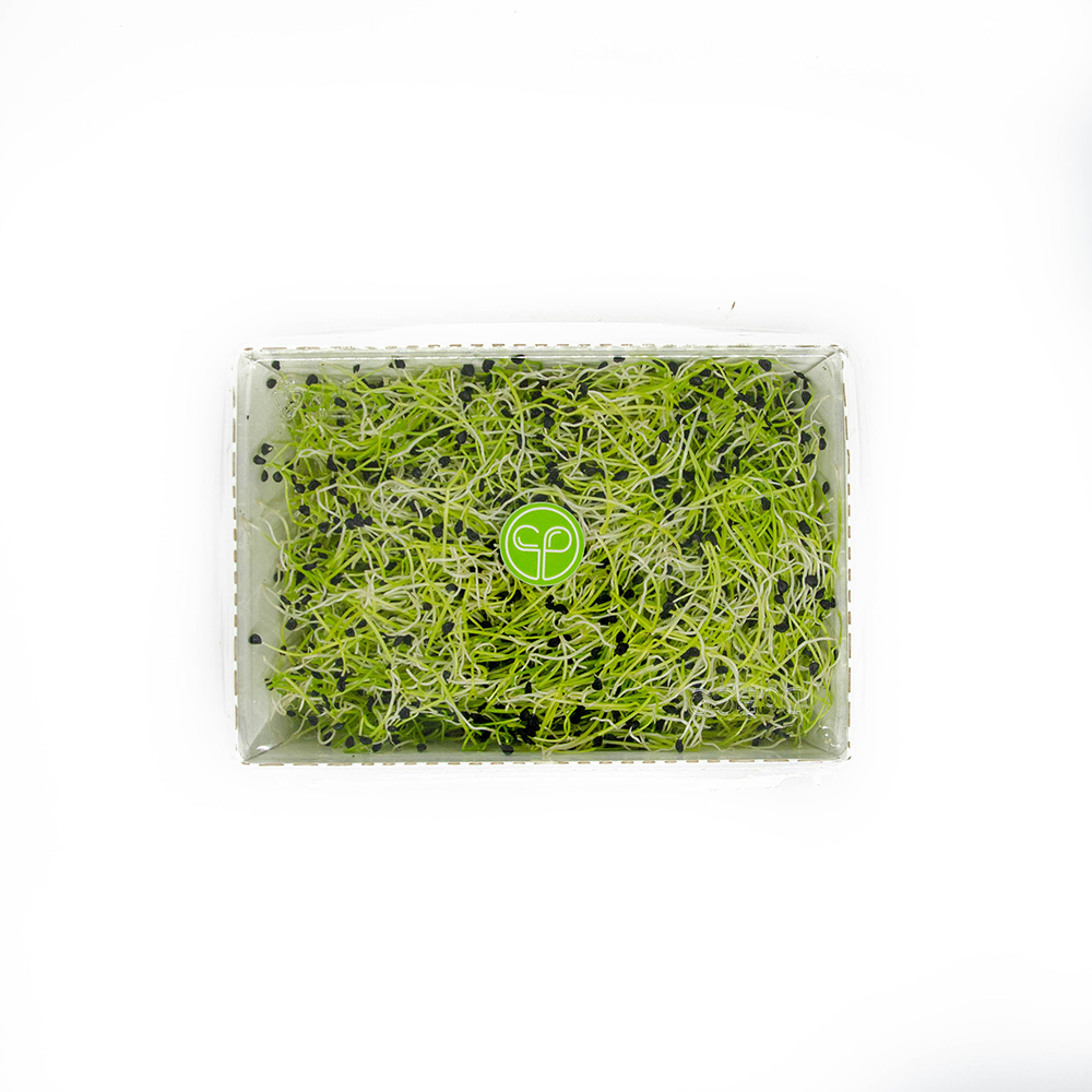 Česnakų Daigai, 50g.