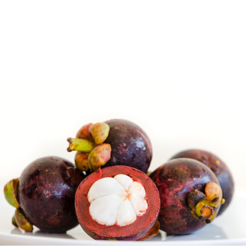 Mangostanas (Mangostaninė garcinija) vnt.