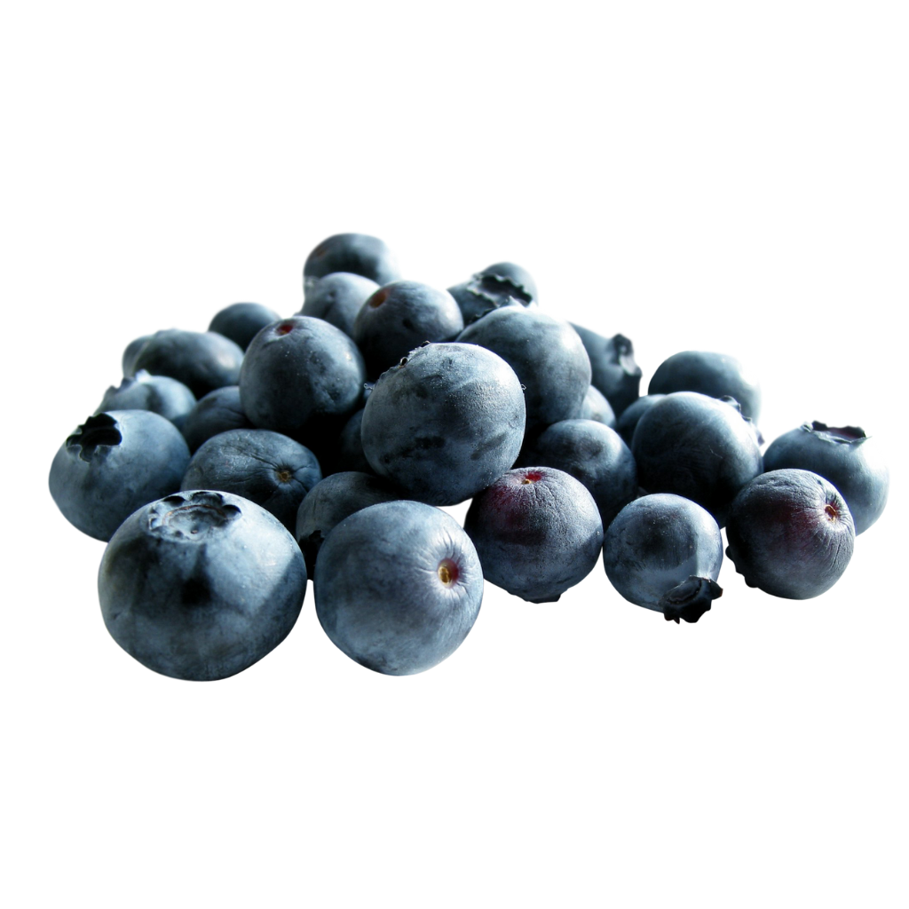 Šilauogės, 125g./vnt.