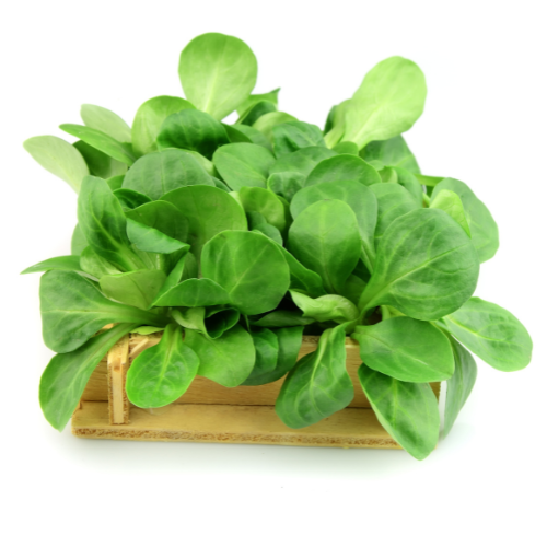 Salotinės Sultenės, 100g