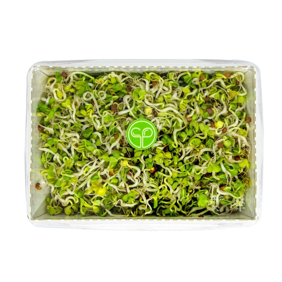 Ridikų daigai (žali), 80g.