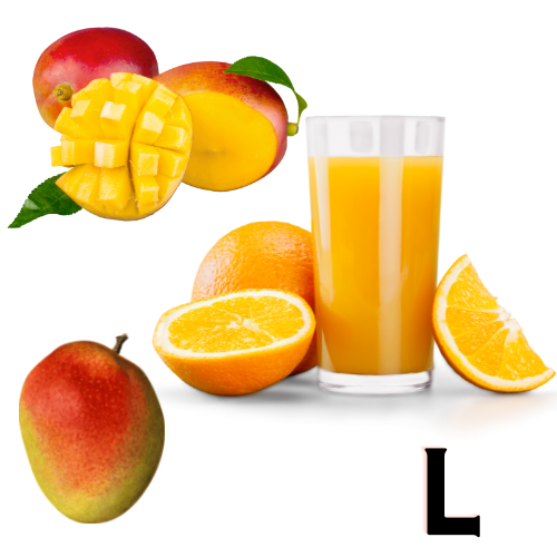 Mangų ir apelsinų sultys L.