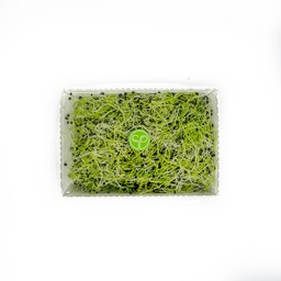 Česnakų Daigai, 50g.