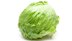 Salotos Iceberg