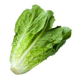 Salota Romaine, kg