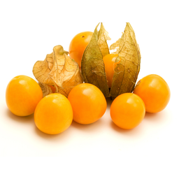 Dumplainiai (fizalis) 100g./vnt.