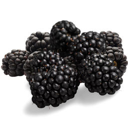 Gervuogės 125g., vnt.