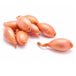 Svogūnai Shallot, kg